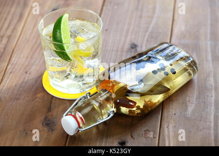 Infusione endovenosa gin, in casa di gin, diy gin, craft gin, gin tonic Foto Stock