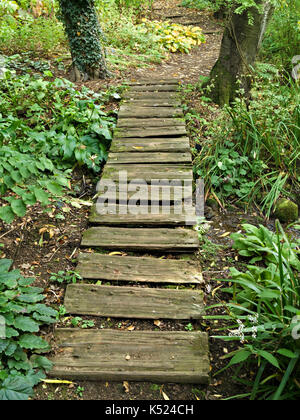 Rustici e vecchi woodland garden percorso fatto da Spalato in legno i registri di legname, Coton Manor Gardens, Northamptonshire, England, Regno Unito Foto Stock
