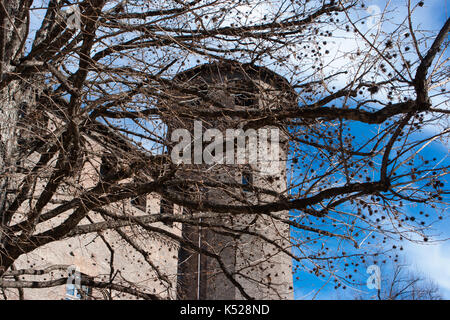 Albero nella parte anteriore di una torre di Palazzo Madama, Torino, Italia Foto Stock