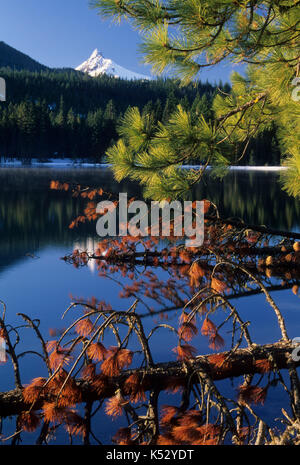 Suttle Lago & Washington Mt, Deschutes National Forest, Oregon Foto Stock