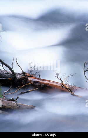 Log in autunno Creek, tre sorelle deserto Deschutes National Forest, Oregon Foto Stock