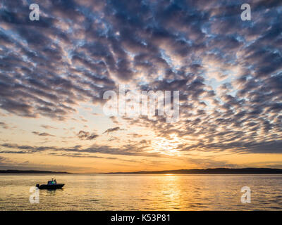 Il 'luce ambiente " tour in barca (Isola di Vancouver tour foto) durante il tour del tramonto in weynton ppassage off nord isola di Vancouver, British columbi Foto Stock