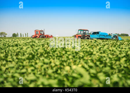 Macchine agricole in un campo di soia in un luminoso giorno d'estate. Foto Stock