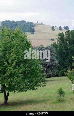 Terreni e giardini di Thomas Jefferson's wagon, Monticello, situato in charlotesville, Virginia, Stati Uniti d'America. Foto Stock