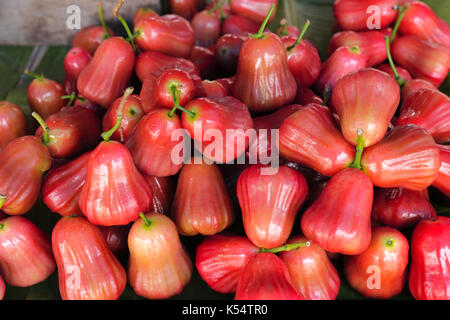 Rosa mela vendita nel mercato. alta nutrizione tropicale frutta asiatica Foto Stock