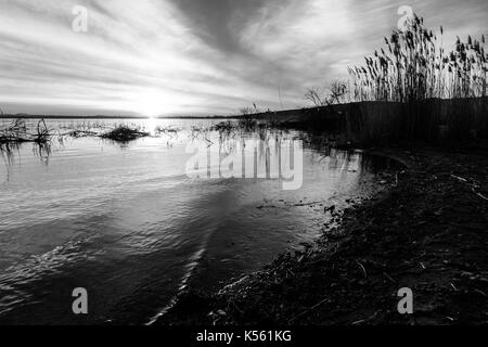 Lake Shore al tramonto, con alberi e rami provenienti al di fuori dell'acqua, e un bellissimo cielo con sole basso sull'orizzonte Foto Stock