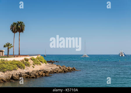 Palm Tree e yacht di lusso in costa azzurra, francia Foto Stock