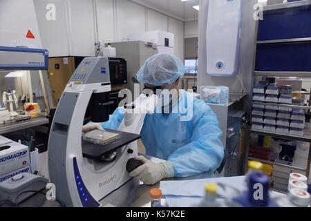 San Pietroburgo, Russia - 16 Novembre 2016: i ricercatori a lavorare nel laboratorio di ricerca della società di biotecnologie BIOCAD. È uno del mondo Foto Stock