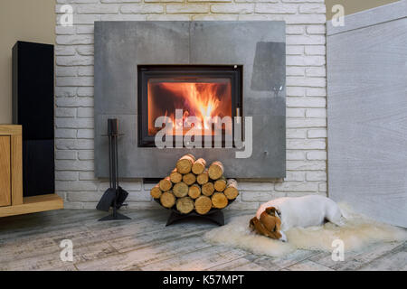 Jack Russel terrier di dormire su un tappeto bianco vicino al fuoco che arde nel caminetto. Appoggio cane. hygge concept Foto Stock