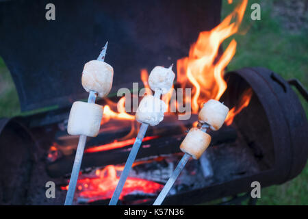 Marshmallow su spiedino di metallo arrostito sul fuoco Foto Stock
