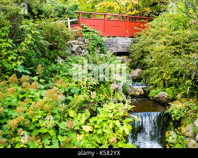 Ponte Rosso, Cinese Hillside, Royal Botanic Garden Edinburgh, Edinburgh, Regno Unito Scozia, GB. Foto Stock