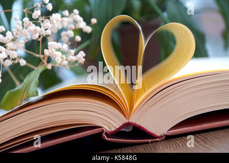 Amore e libri. Forma del cuore fatta dalle pagine del libro Foto Stock