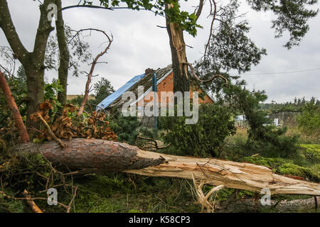 Trzebun, Polonia. 08 Sep, 2017. danneggiato durante il tragico storm casa è visto in trzebun, Polonia settentrionale il 8 settembre 2017 . ue membri parilament ha visitato le zone colpite dalla tragica tempesta nel mese di agosto 2017 in Polonia settentrionale. I parlamentari del po (civic paltform), mostrava i membri del Parlamento europeo gli effetti della tempesta, e chiesto sostegno per la popolazione colpita. Credito: Michal fludra/alamy live news Foto Stock