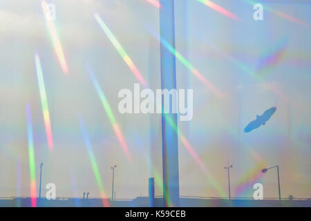 Prismatica raggi di sole sulla barriera di vetro con volo di uccelli silhouette. autostrada distanti e luci di strada. Foto Stock