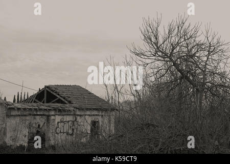 Casa abbandonata la rovina con il crollo del tetto nei boschi e ricoperta di vegetazione sotto moody sky. Foto Stock