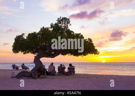 Eagle beach, Aruba - 15 marzo 2017: vista di Eagle beach, aruba al tramonto con divi divi tree e turisti. Foto Stock