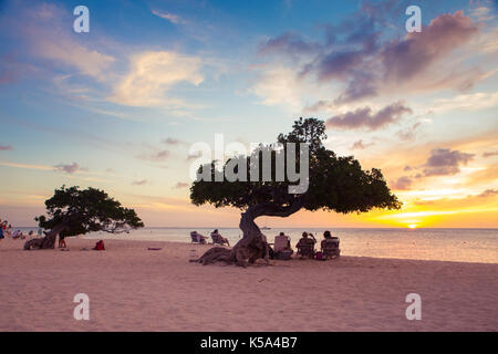 Eagle beach, Aruba - 15 marzo 2017: vista di Eagle beach, aruba al tramonto con divi divi tree e turisti. Foto Stock