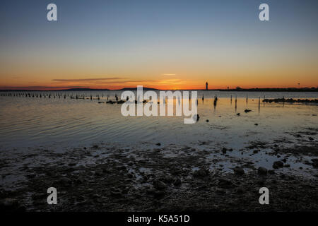 Sunrise, Pointe des Onglous, Thau, Francia. Foto Stock