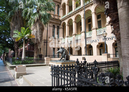 Sydney,NSW, Australia-novembre 20,2016: Sydney ospedale ornato di balcone e cinghiale buona fortuna statua a Sydney in Australia Foto Stock