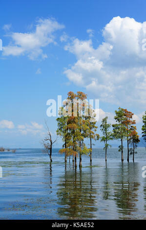 Lago Erhai scenario in provincia di Yunnan in Cina. Foto Stock