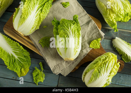 Materie organiche verde cavolo napa pronto per l'uso Foto Stock