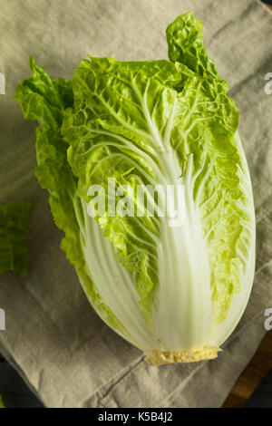 Materie organiche verde cavolo napa pronto per l'uso Foto Stock