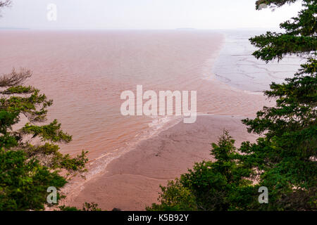 Agosto 22, 2017 - Hopewell Rocks, New Brunswick, Canada. La marea, il più grande del mondo - comincia a muoversi in attraverso il Daniel's appartamenti appartamenti di fango a Foto Stock