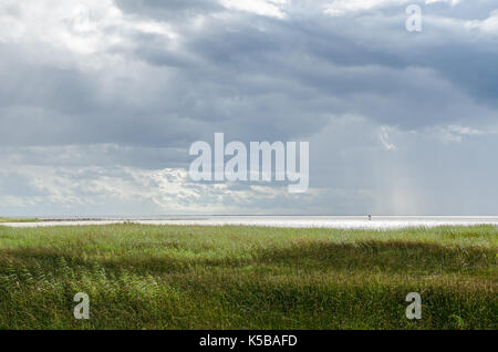 L'erba si piega nel vento sulle rive del lago Võrtsjärv, nell'Estonia meridionale, mentre una figura solita naviga in lontananza Foto Stock