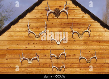 Palchi su garage, Diamante nazionale Loop Back Country Byway, Oregon Foto Stock