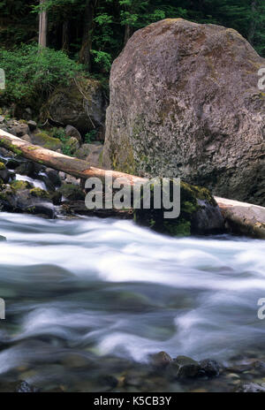 Quartzville Creek, Quartzville National paese indietro Byway, Quartzville Creek Wild & Scenic River, Oregon Foto Stock