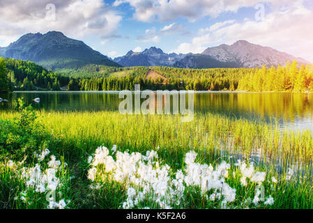 Il lago di villaggio di Strbske Pleso negli Alti Tatra mountain, Slovacchia Foto Stock