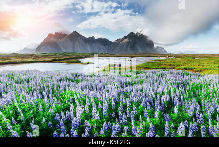 Pittoresche vedute del fiume e le montagne in Islanda Foto Stock