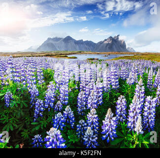 Pittoresche vedute del fiume e le montagne in Islanda Foto Stock