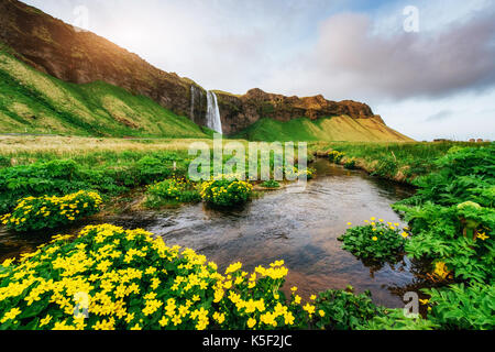 Cascata seljalandfoss al tramonto. ponte sopra il fiume. fantastica natura Islanda Foto Stock