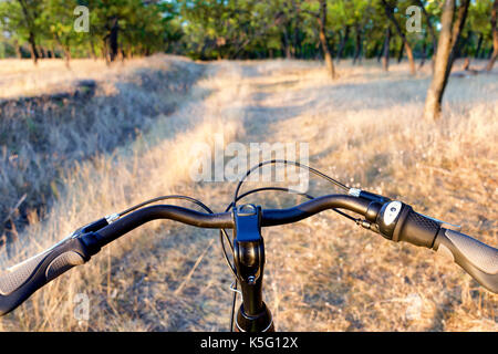 Manubrio di bicicletta in off-road e asciutto erba di autunno Foto Stock