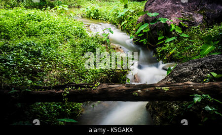 Huay keaw cascata, il Doi Suthep-pui national park, Chiang Mai, Thailandia Foto Stock