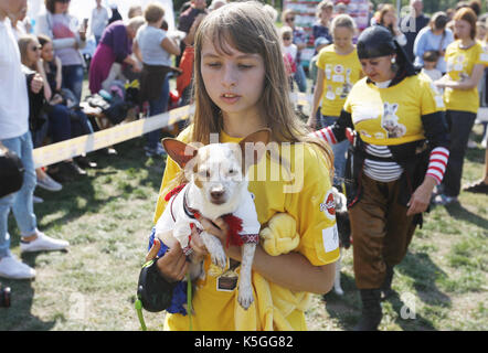 Kiev, Ucraina. 9 Sep, 2017. I cani con i loro padroni di partecipare a un concorso durante un giubileo esposizione di cani Mongrel 'Coppa di barbos - 2017' di Kiev, in Ucraina, il 9 settembre 2017. Credito: serg glovny/zuma filo/alamy live news Foto Stock