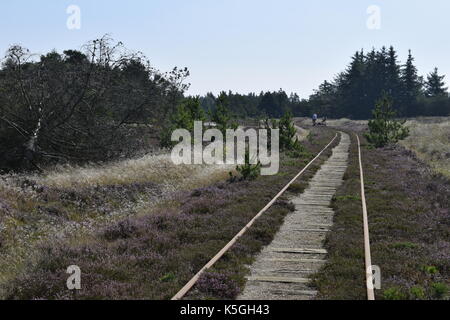 I turisti viaggiano su una draisine a pedale, un tipo di veicolo ferroviario ausiliario leggero, lungo una linea ferroviaria sulla costa danese del Mare del Nord vicino a Nörre Nebel, Danimarca, 29 agosto 2017. NESSUN SERVIZIO DI TELECOMUNICAZIONE. Foto: Tim Brakemeier/dpa-Zentralbild/ZB Foto Stock