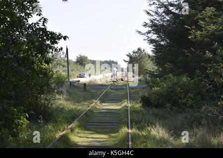 I turisti viaggiano su una draisine a pedale, un tipo di veicolo ferroviario ausiliario leggero, lungo una linea ferroviaria sulla costa danese del Mare del Nord vicino a Nörre Nebel, Danimarca, 29 agosto 2017. NESSUN SERVIZIO DI TELECOMUNICAZIONE. Foto: Tim Brakemeier/dpa-Zentralbild/ZB Foto Stock