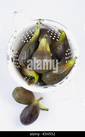 Ficus carica. Appena raccolto i fichi in uno scolapasta. Foto Stock