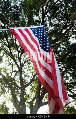 La bandiera americana con sfondo di albero Foto Stock