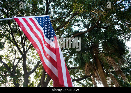 La bandiera americana con sfondo di albero Foto Stock