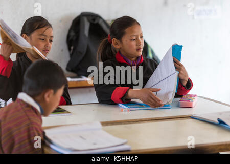 Gli studenti di matematica in classe a gangrithang scuola primaria, jakar, centrale bhutan Foto Stock