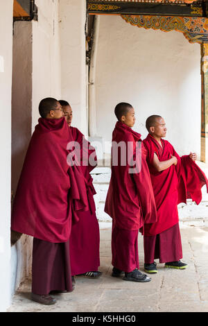 Punakha Drubchen (celebrazione storica) e Tsechu (celebrazione religiosa) a Punakha Dzong, Bhutan occidentale. Foto Stock