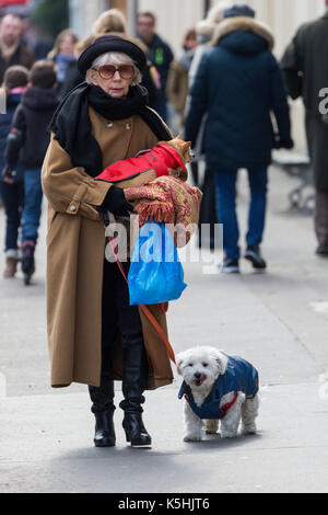 Vecchia Signora in cappotto, sciarpa e cappello a piedi i suoi due cani in strada nel VII arrondissement, Parigi Foto Stock