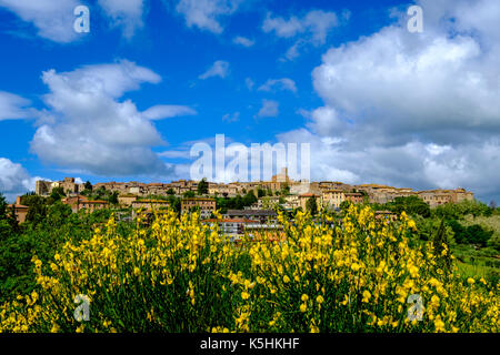 La città è situata su una collina verde con campi verdi, alberi e una fioritura gialla ginestra bush Foto Stock