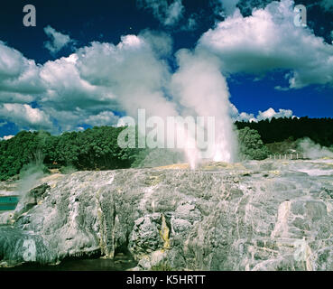 La Nuova Zelanda. Rotorua. Te Whakarewarewa valle geotermale. Foto Stock