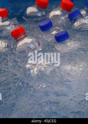 Bottiglie in plastica pet di freddo ancora e scintillante di bere acqua minerale con blu e cappucci rossi galleggiante e raffreddare in acqua e ghiaccio sul mercato al dettaglio di Foto Stock