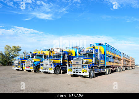 Bovini di autocarri o autotreni con tre rimorchi parcheggiati in una zona di riposo, Queensland, QLD, Australia Foto Stock