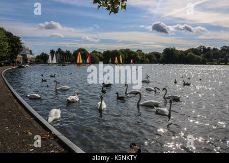 Londra, Regno Unito. Decimo Sep, 2017. derive prendere all'acqua su wimbledon park Lake su un piacevole sole di mattina autunnale credito: amer ghazzal/alamy live news Foto Stock